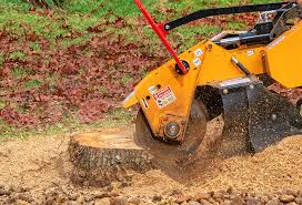 Soil Testing and Treatment in Selbyville, DE